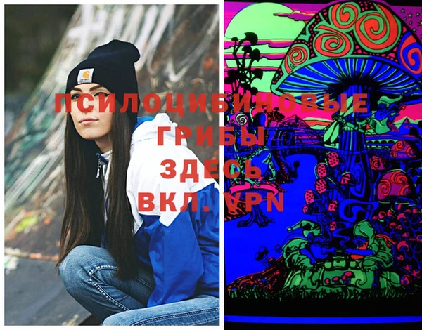 шишки Коряжма