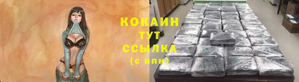 дмт Медногорск