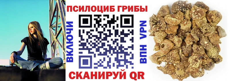 маркетплейс клад  Нижняя Тура  Галлюциногенные грибы мицелий  купить наркотик 